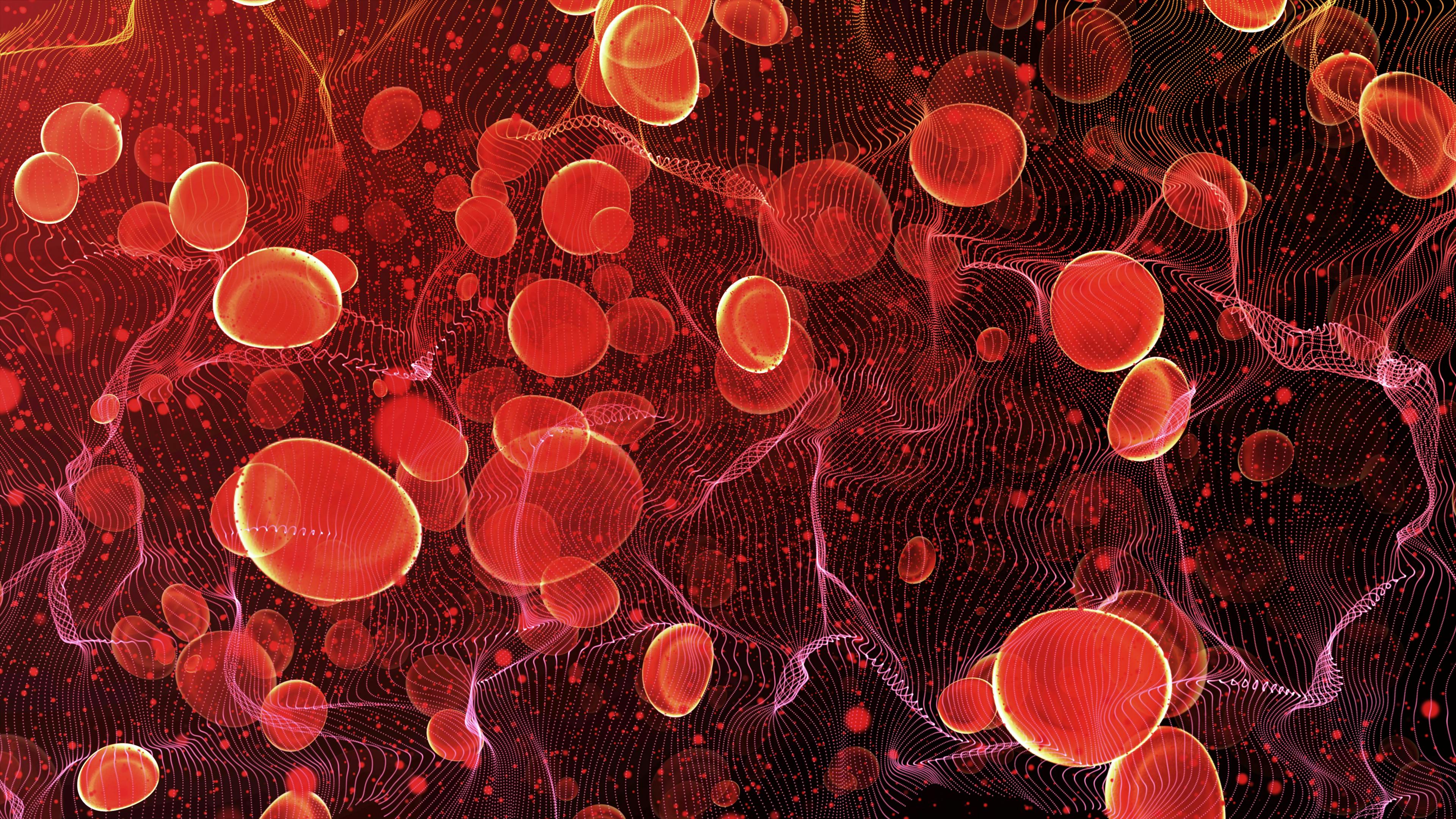 Red blood cells travel in an artery. Hematology, Lymphoma. | Image Credit: DIgilife - stock.adobe.com