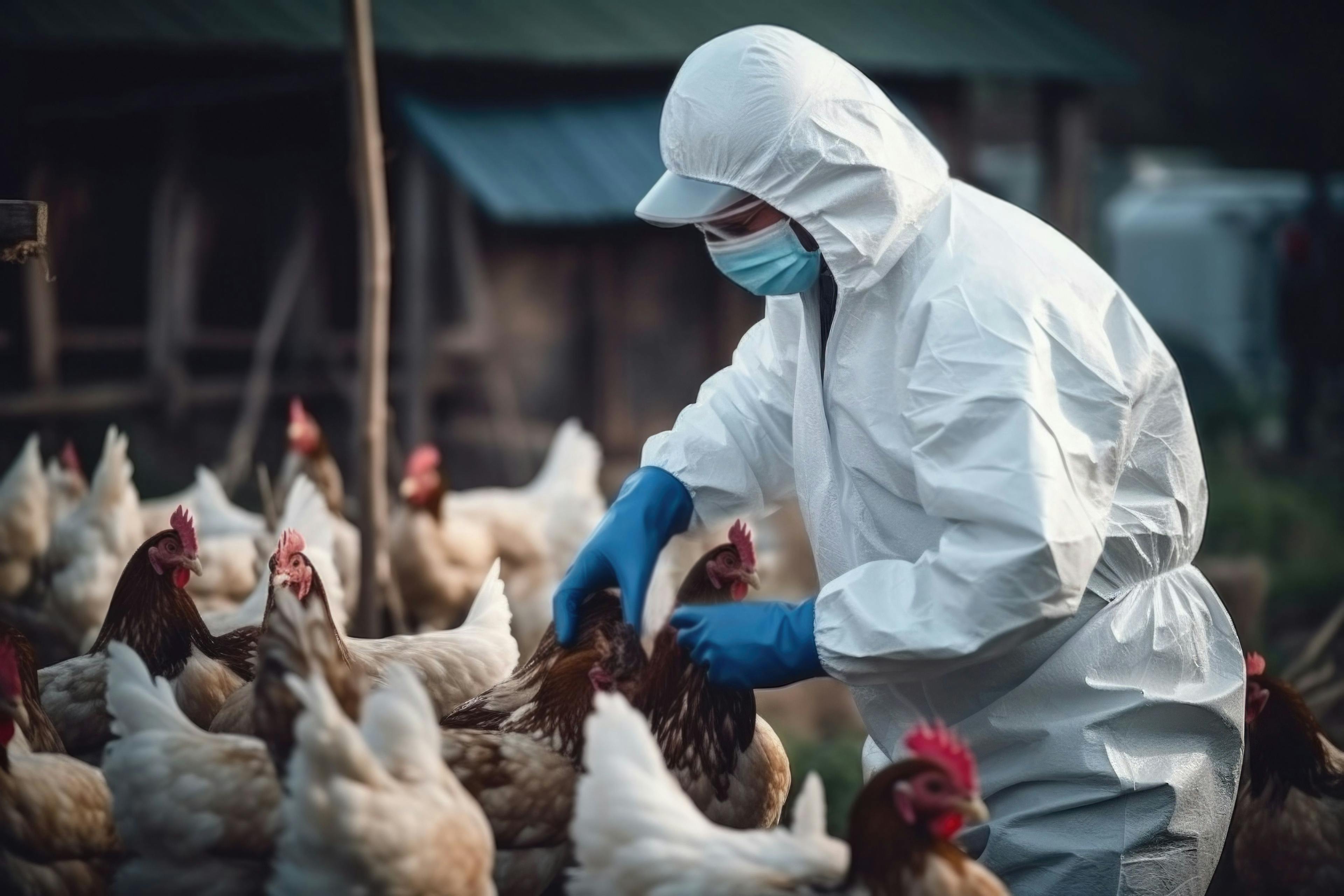 Pharmacists Should Proactively Educate Themselves About Avian Influenza 